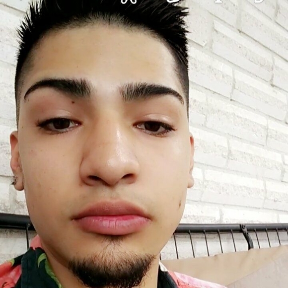 Meet your Posher, Lucas - Picture 1 of 1